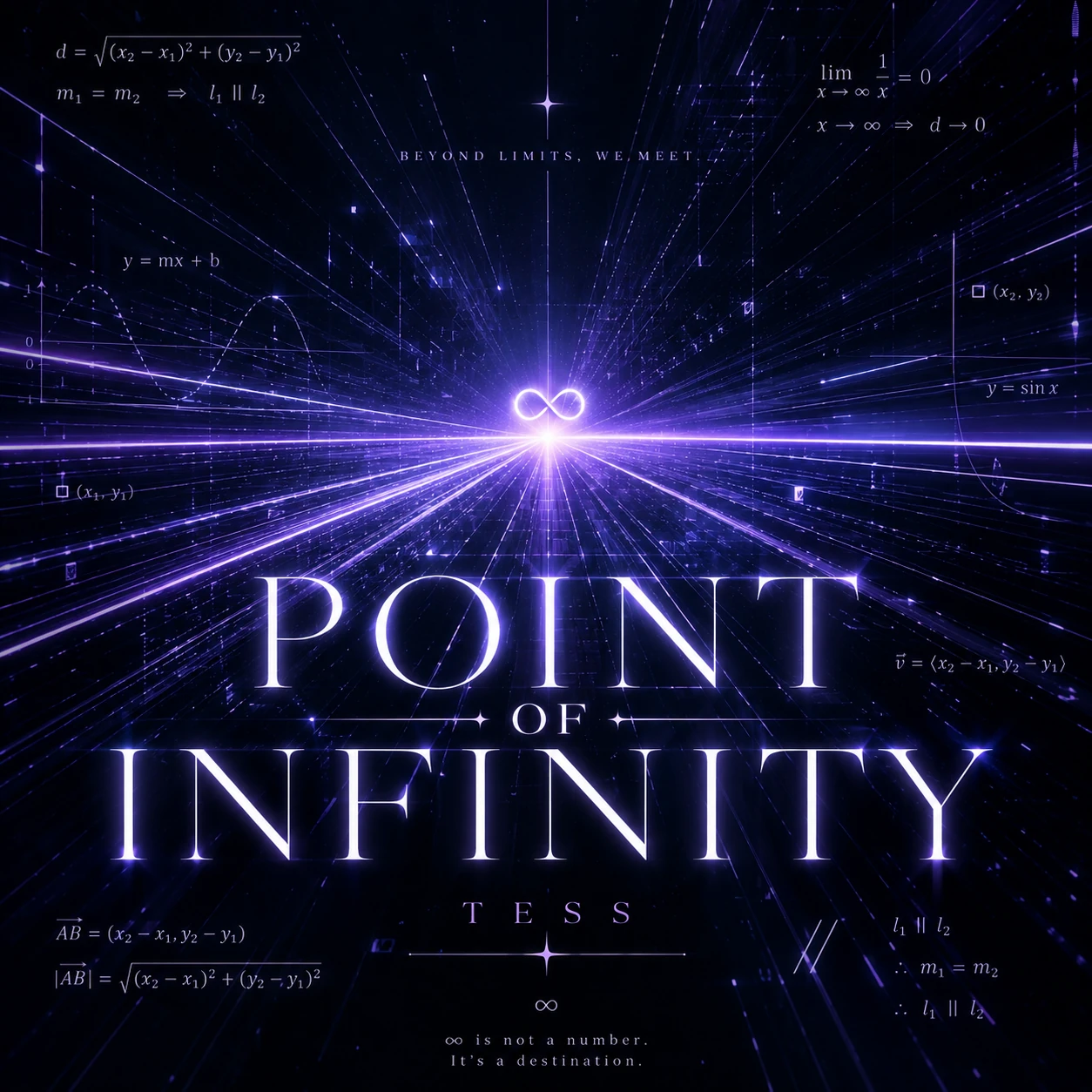 POINT OF INFINITY ジャケット