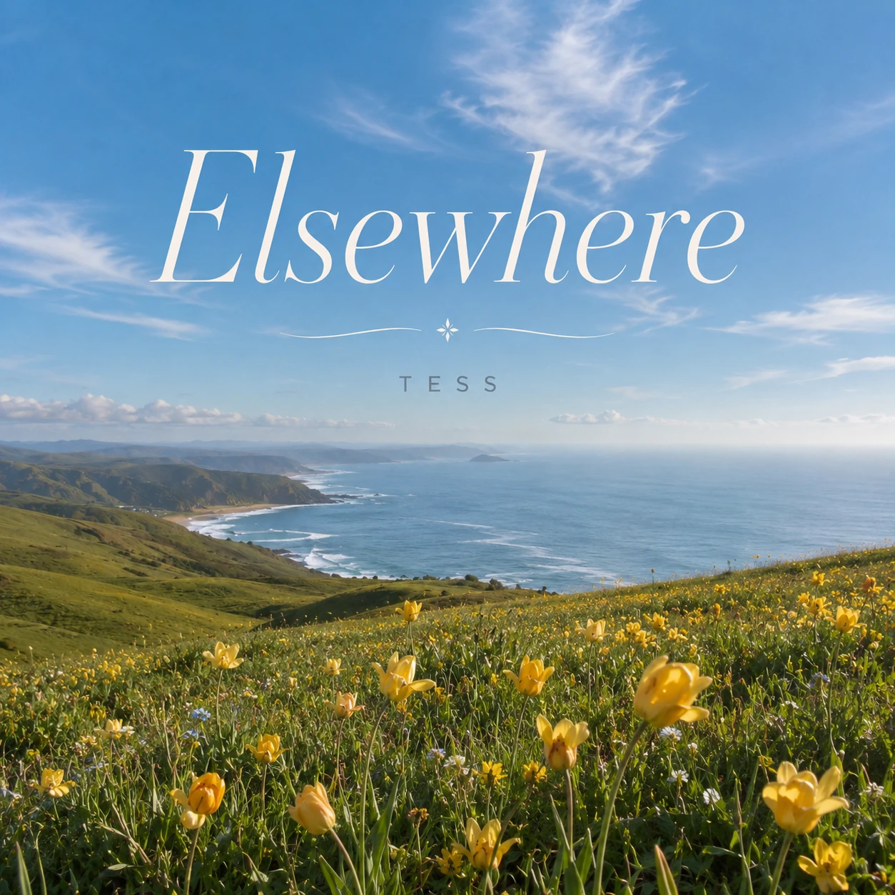 Elseehere ジャケット