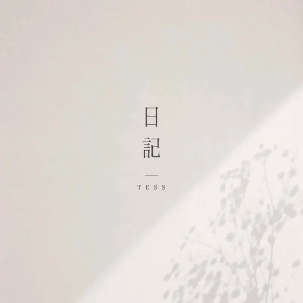 日記 ジャケット