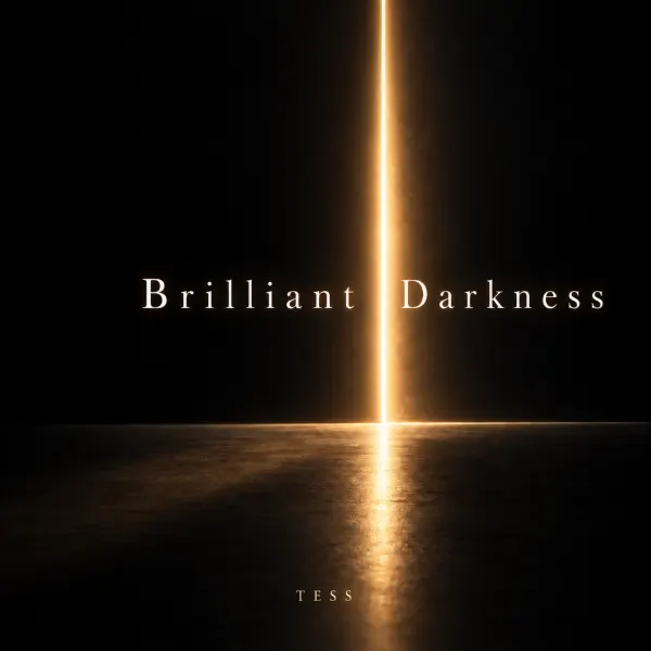 Brilliant Darkness ジャケット